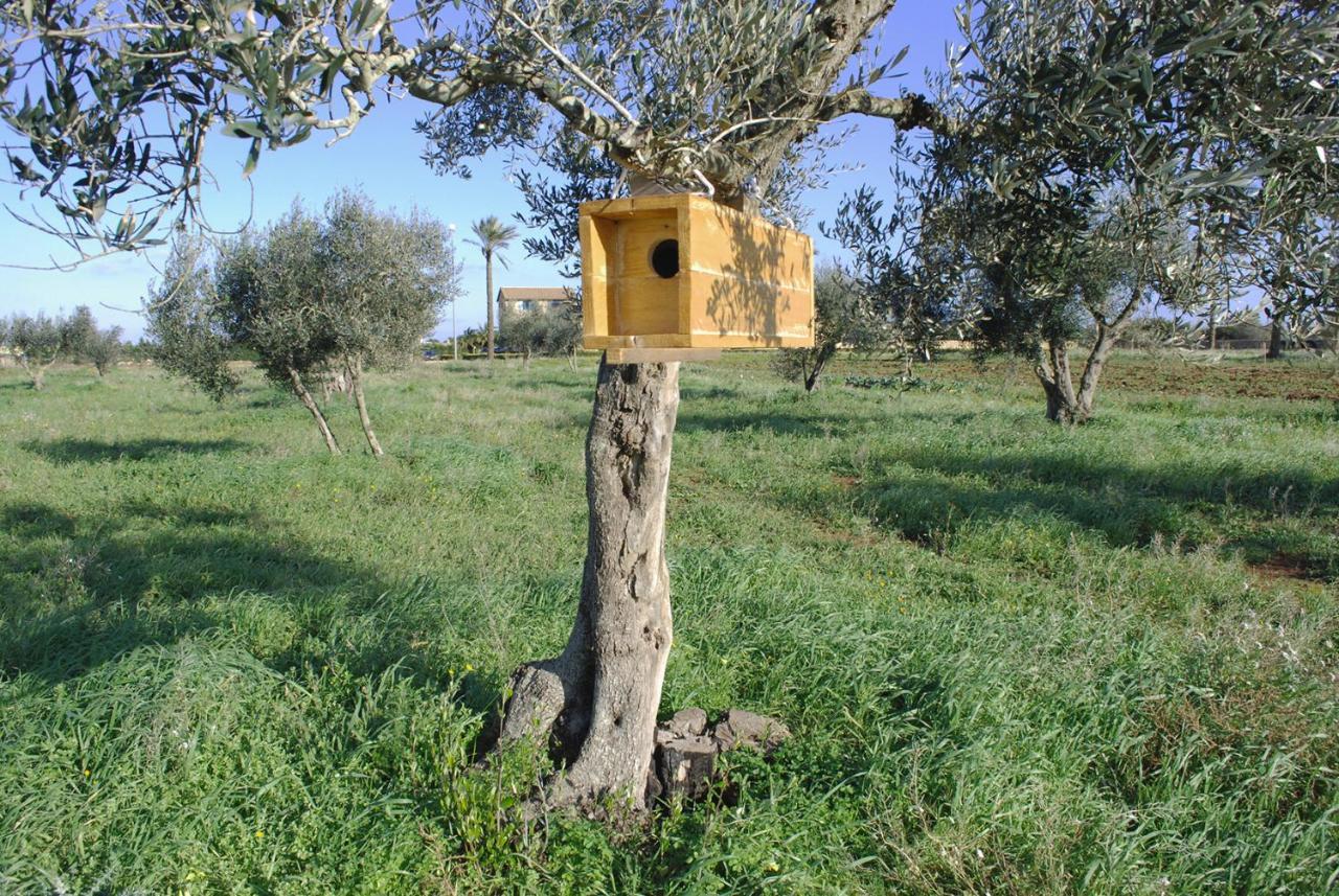 Masseria Galatea Agriturismo Alessano Exterior foto